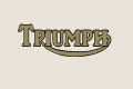 Triumph adesivo oro/nero 11 cm @